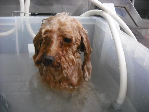 ファイル 1047-2.jpg