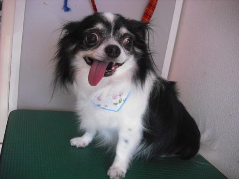 ファイル 1048-1.jpg