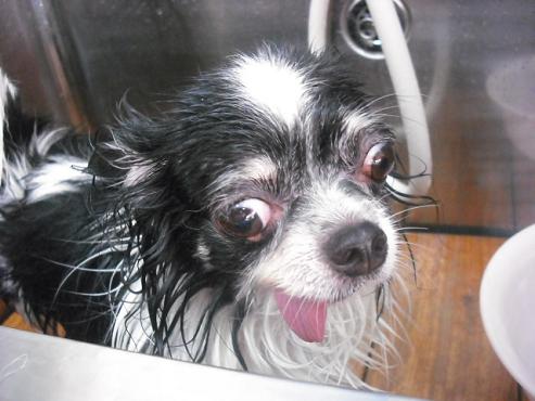 ファイル 1048-2.jpg