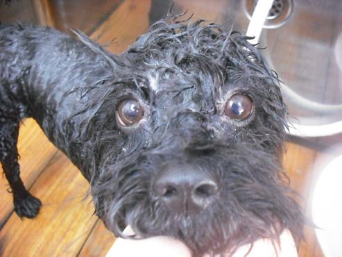 ファイル 1049-2.jpg