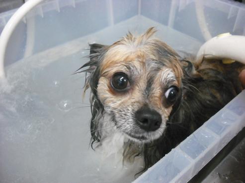 ファイル 105-3.jpg