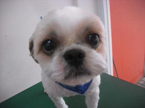 ファイル 1050-1.jpg