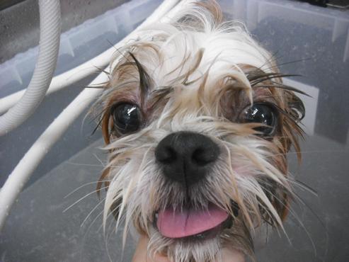 ファイル 1050-2.jpg