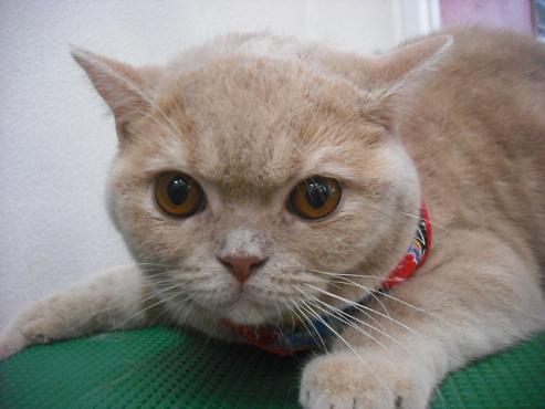 ファイル 1051-1.jpg