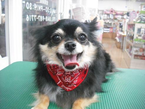 ファイル 106-1.jpg