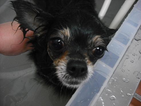 ファイル 106-2.jpg