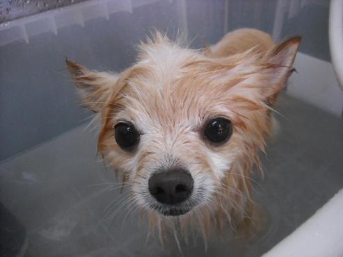 ファイル 1060-2.jpg