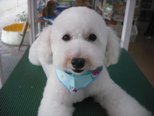 ファイル 1067-1.jpg