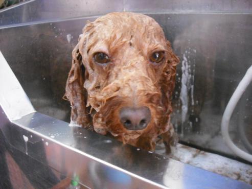 ファイル 1068-2.jpg