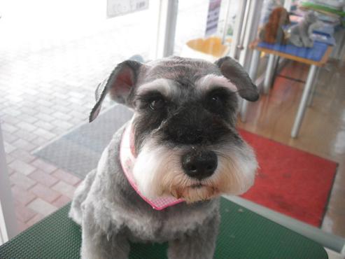 ファイル 1069-1.jpg