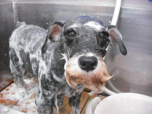 ファイル 1069-2.jpg