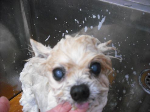 ファイル 107-3.jpg