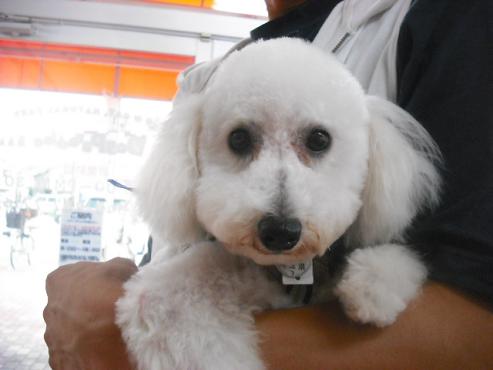 ファイル 1070-1.jpg