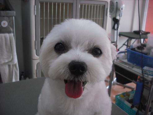 ファイル 1072-1.jpg