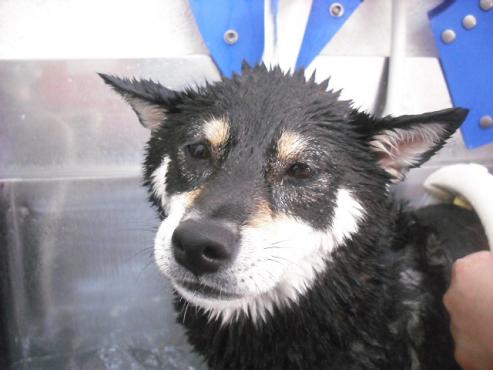 ファイル 1073-2.jpg