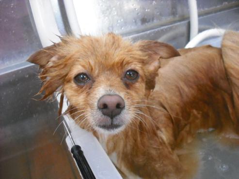 ファイル 1074-2.jpg