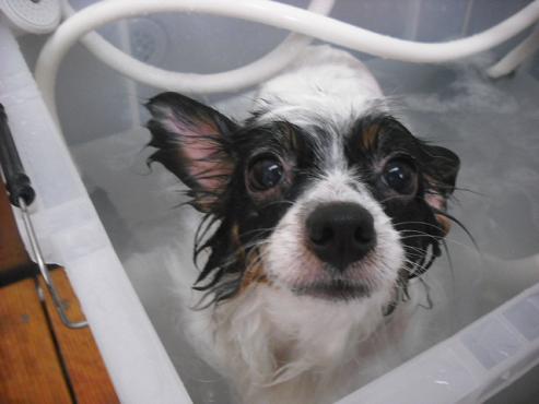 ファイル 1075-2.jpg