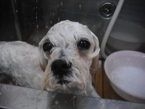 ファイル 1076-2.jpg