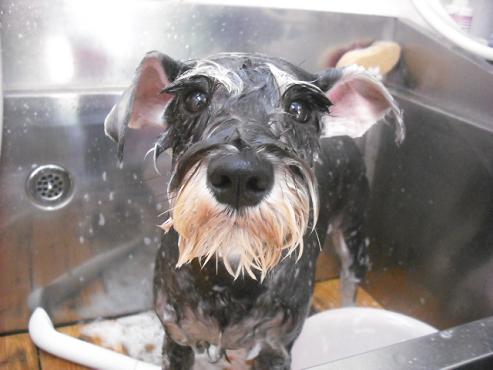 ファイル 1077-2.jpg