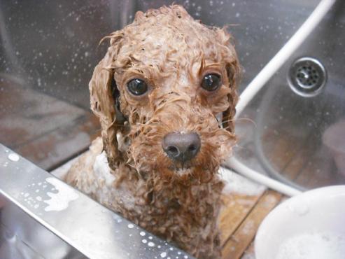 ファイル 1078-2.jpg