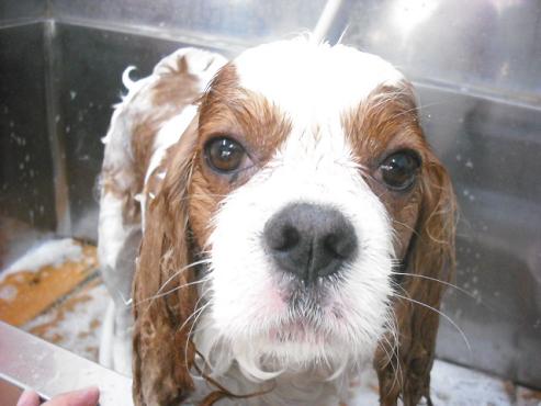 ファイル 1079-2.jpg