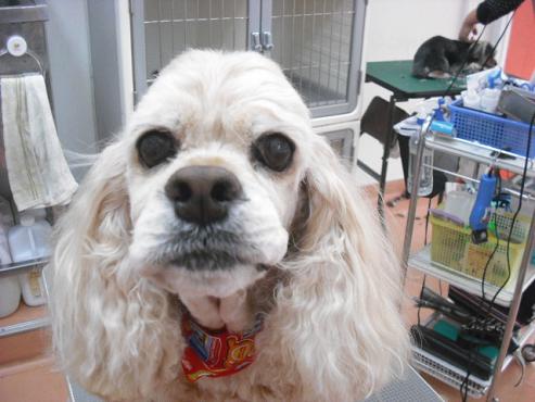 ファイル 108-1.jpg