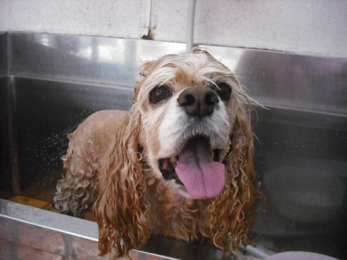 ファイル 108-3.jpg