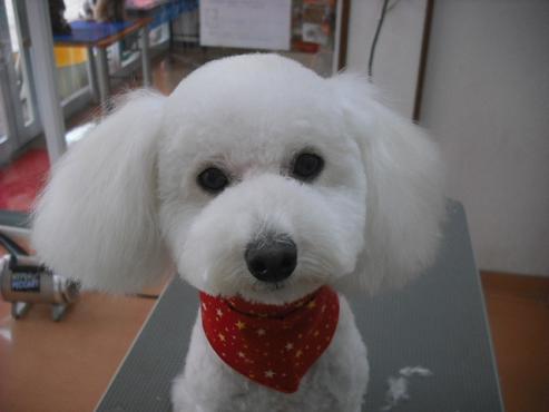 ファイル 1082-1.jpg