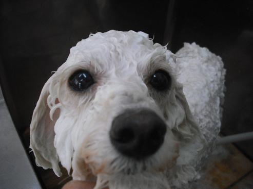 ファイル 1082-2.jpg