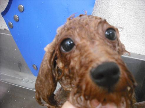 ファイル 1083-2.jpg