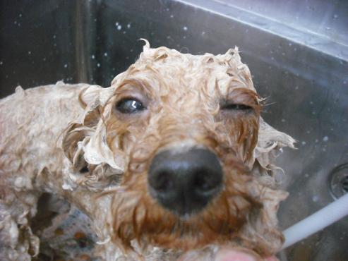 ファイル 1084-2.jpg