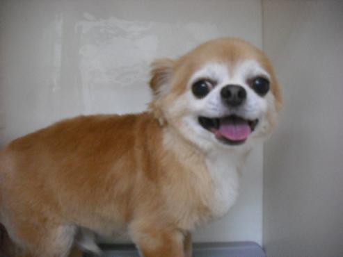 ファイル 1085-1.jpg