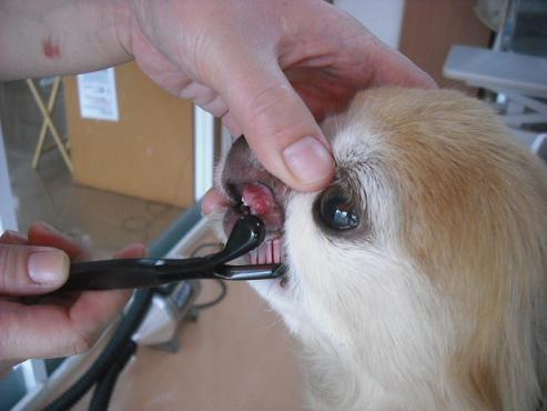 ファイル 1085-2.jpg