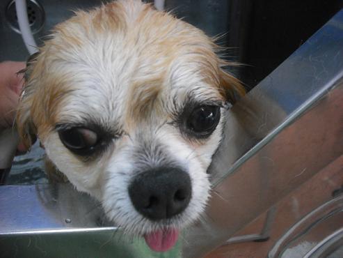 ファイル 1086-2.jpg