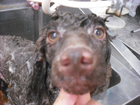 ファイル 1088-2.jpg