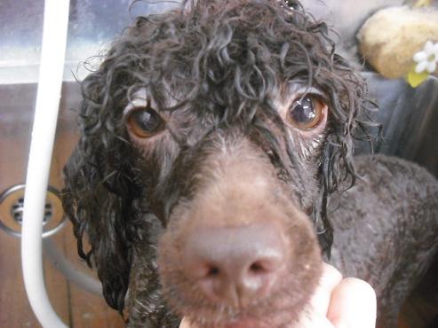 ファイル 1089-2.jpg