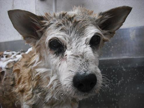 ファイル 109-3.jpg