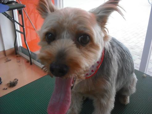 ファイル 1090-2.jpg