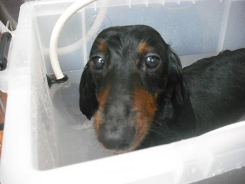 ファイル 1092-2.jpg