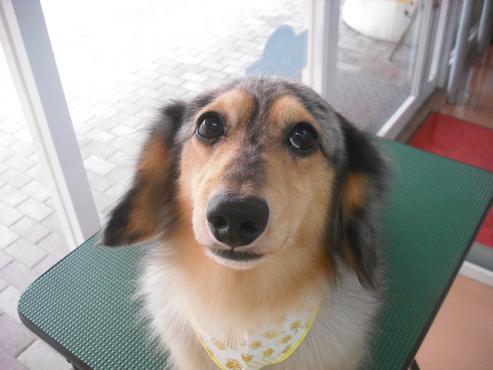 ファイル 1094-1.jpg