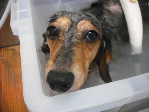 ファイル 1094-2.jpg