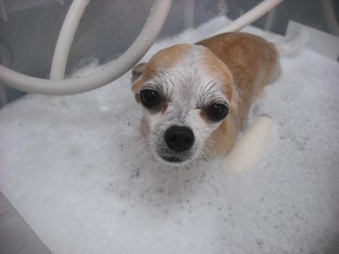 ファイル 1095-2.jpg