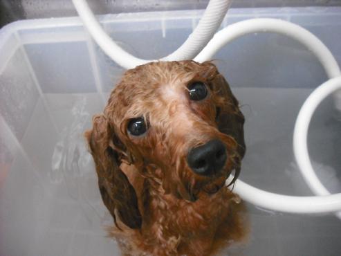 ファイル 1097-2.jpg