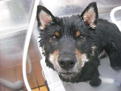 ファイル 1098-2.jpg