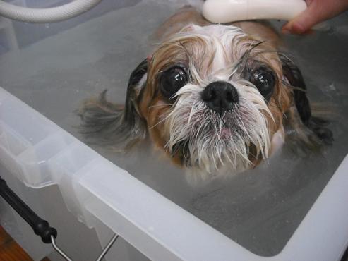 ファイル 1099-2.jpg