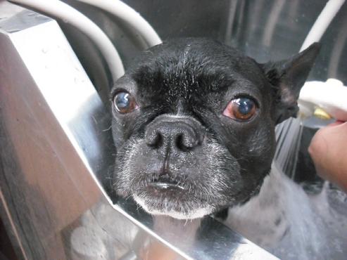 ファイル 11-2.jpg