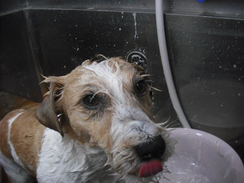 ファイル 110-2.jpg