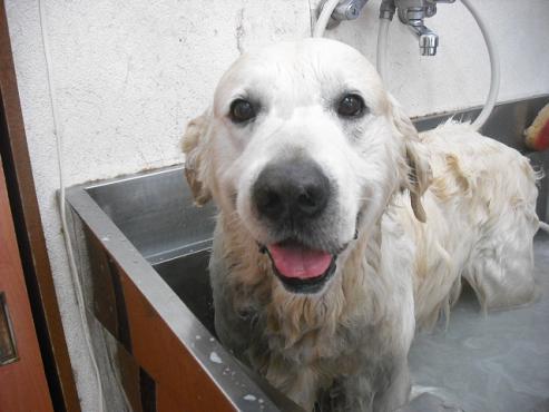 ファイル 1102-2.jpg