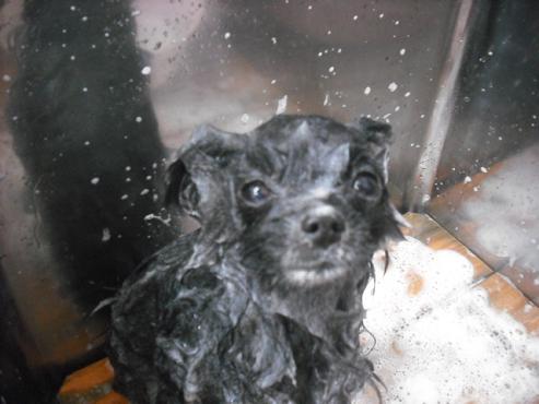 ファイル 1103-2.jpg