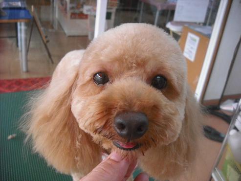 ファイル 1104-1.jpg